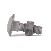 Bræddebolt m/møtrik FZV [DIN 603/555] - M10