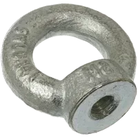 Øjemøtrik DIN582 galvaniseret 24mm
