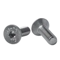 M6x20 AISI304 (20 stk.)